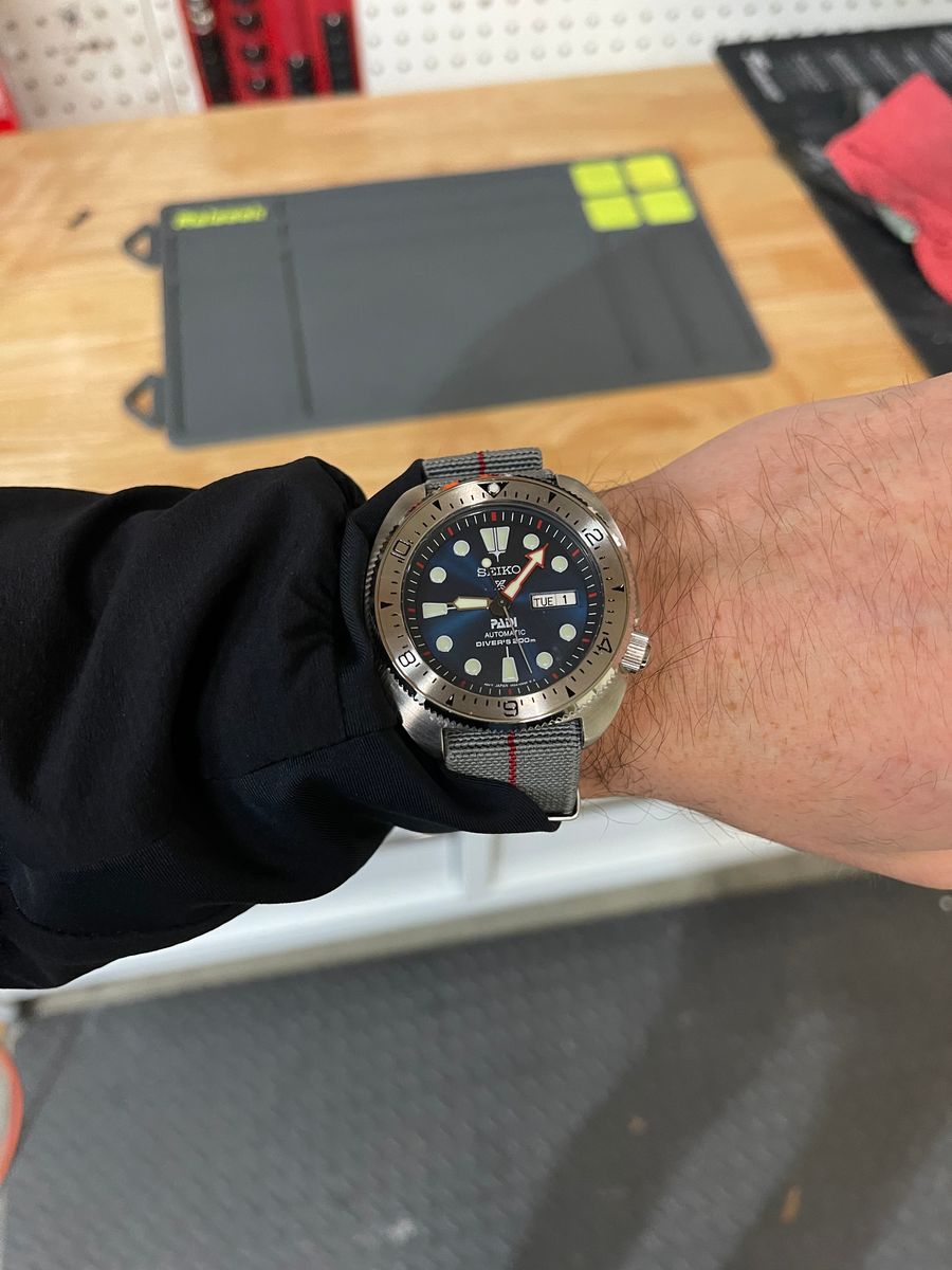 The Seiko Turtle and Samurai—Which One Is Better?